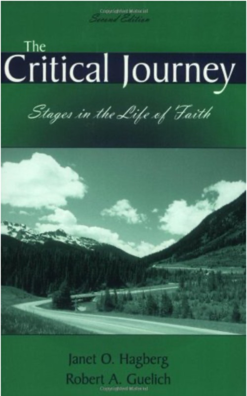 Buchcover The Critical Journey